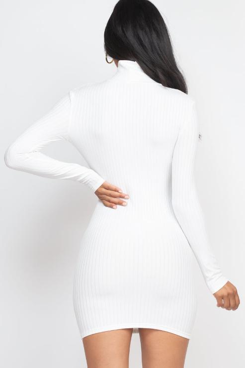 Ribbed Mock Neck Bodycon Mini Dress - Capella Apparel Wholesale