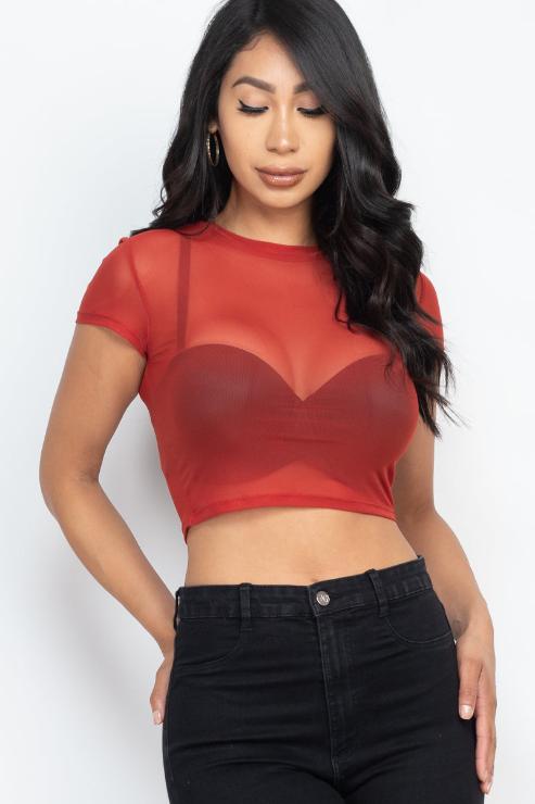 Sexy Mesh Sheer Short Sleeve Crop Top - Wholesale Capella Apparel