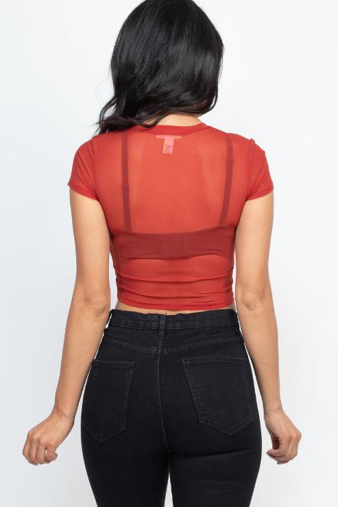 Sexy Mesh Sheer Short Sleeve Crop Top - Wholesale Capella Apparel