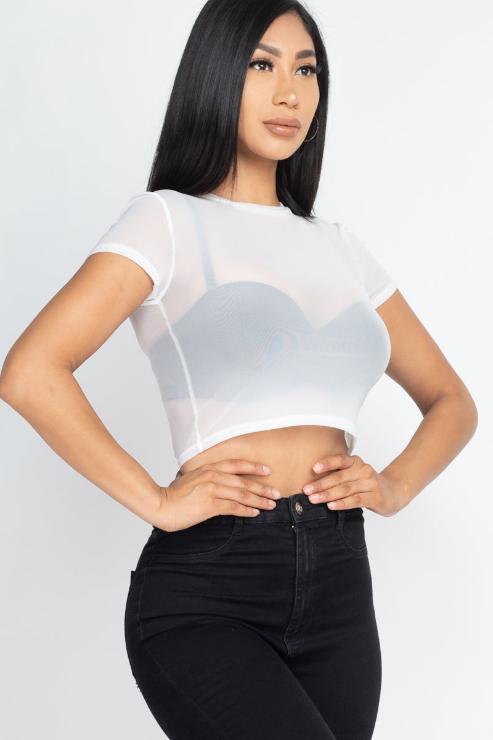 Sexy Mesh Sheer Short Sleeve Crop Top - Wholesale Capella Apparel